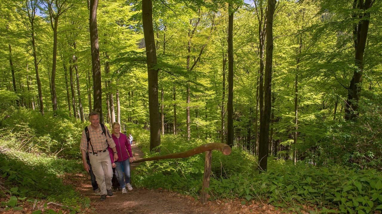 Landgasthof Seemer Эслоэ Экстерьер фото